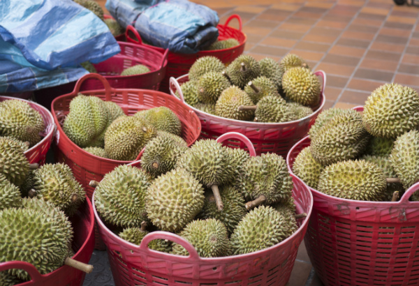 Can i bring viagra into singapore