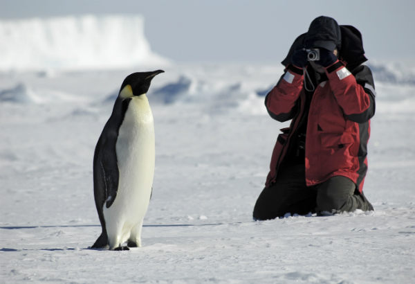 Planning your Antarctica trip