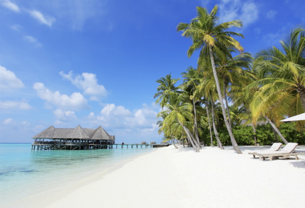 importance of tourism in maldives