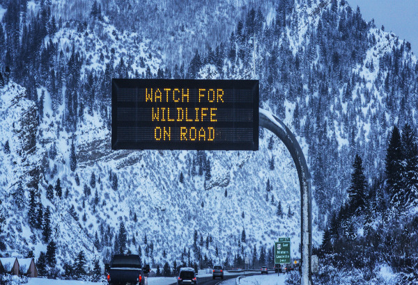 Safety signs on a mountain road during winter.
